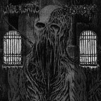 Spectral Voice / Und - Split Lp - Vinyl Record Vl - G3Z