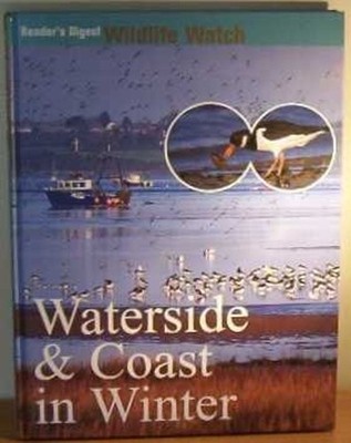 Waterside and Coast in Winter No Author
