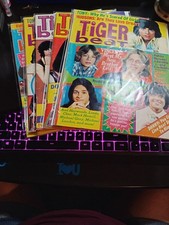 Vintage Lot Of Tiger Beat  Magazines From 70s, Leif, Donny & More