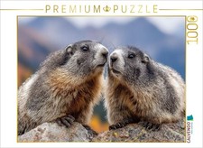 CALVENDO Puzzle Wir geh ren zusammen 1000 Teile Lege-Gr e 64 48 cm Foto-Puz
