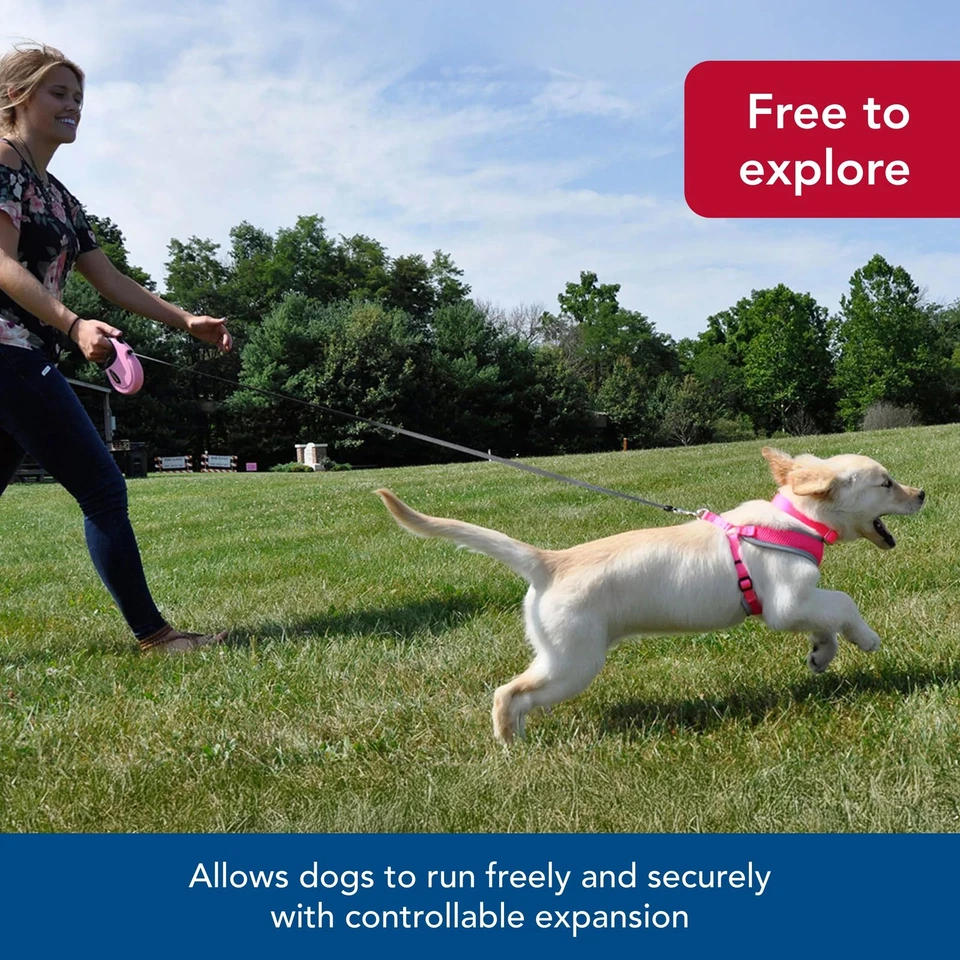 Correa reflectante retráctil para perro - pequeña - negra | resistente Foto 3 de 4