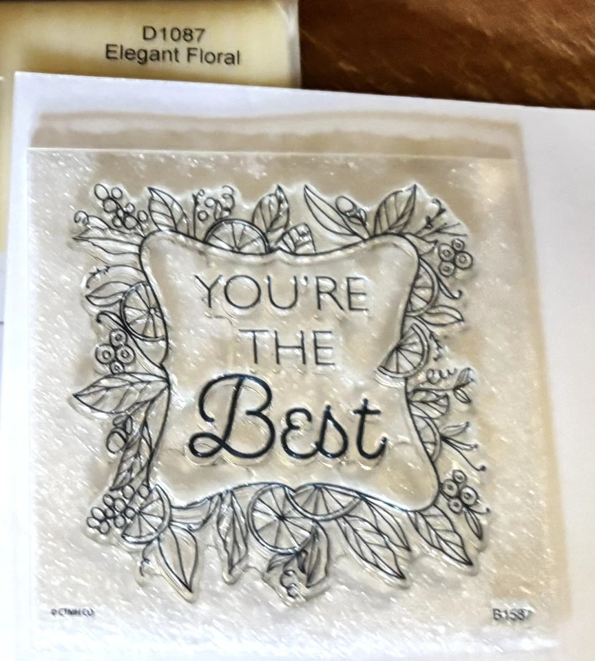 2 CTMH D1087 ELEGANTE FLORAL Y B1587 ZESTY BEST ~ Rosas Salvajes, Borde Rosa Foto 3 de 3