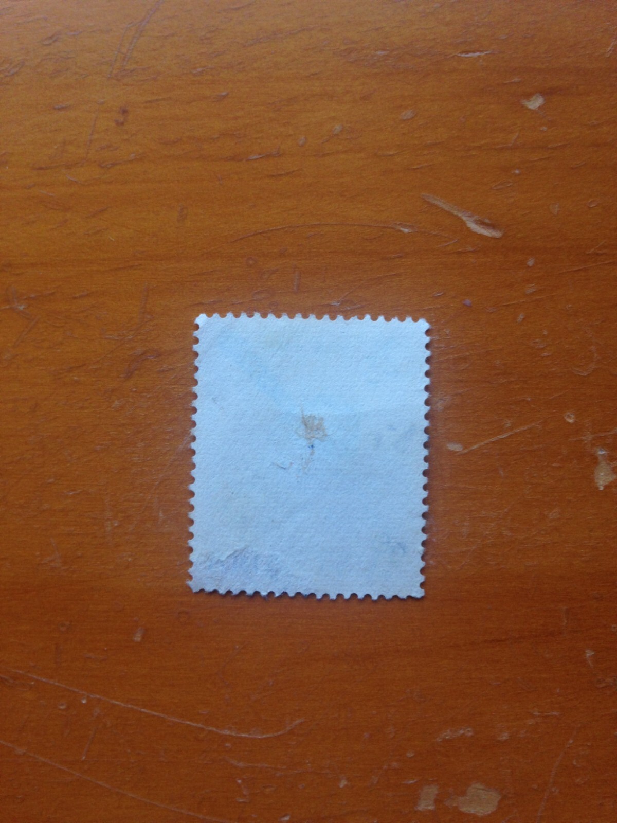 Picture 8 of 22