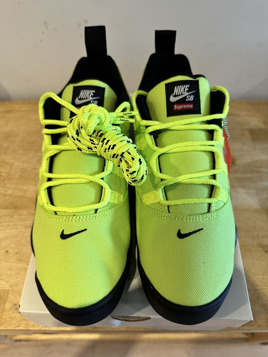 Supreme x Nike SB Darwin Low Volt Size 11 FQ3000-700 | eBay 