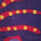 Picture 7 of 12