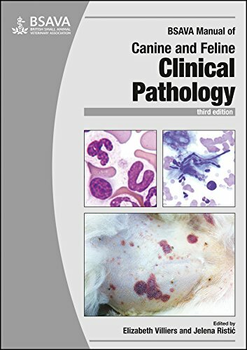 Bsava Manual Of Canine And Feline Clinical Pathology Elizabeth (University Of Cambridge, Uk) Villiers - Image 7
