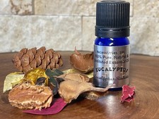 Eucalyptus Radiata Essential Oil 100 Pure Natural Undiluted up 2 16oz.5-10 off