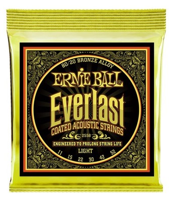 Starke Ernie Ball Everlast Light Coated 80/20 Bronze Strings für Akustik Gitarre