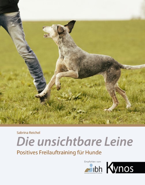 Thumbnail - Sabrina Reichel Die Unsichtbare Leine