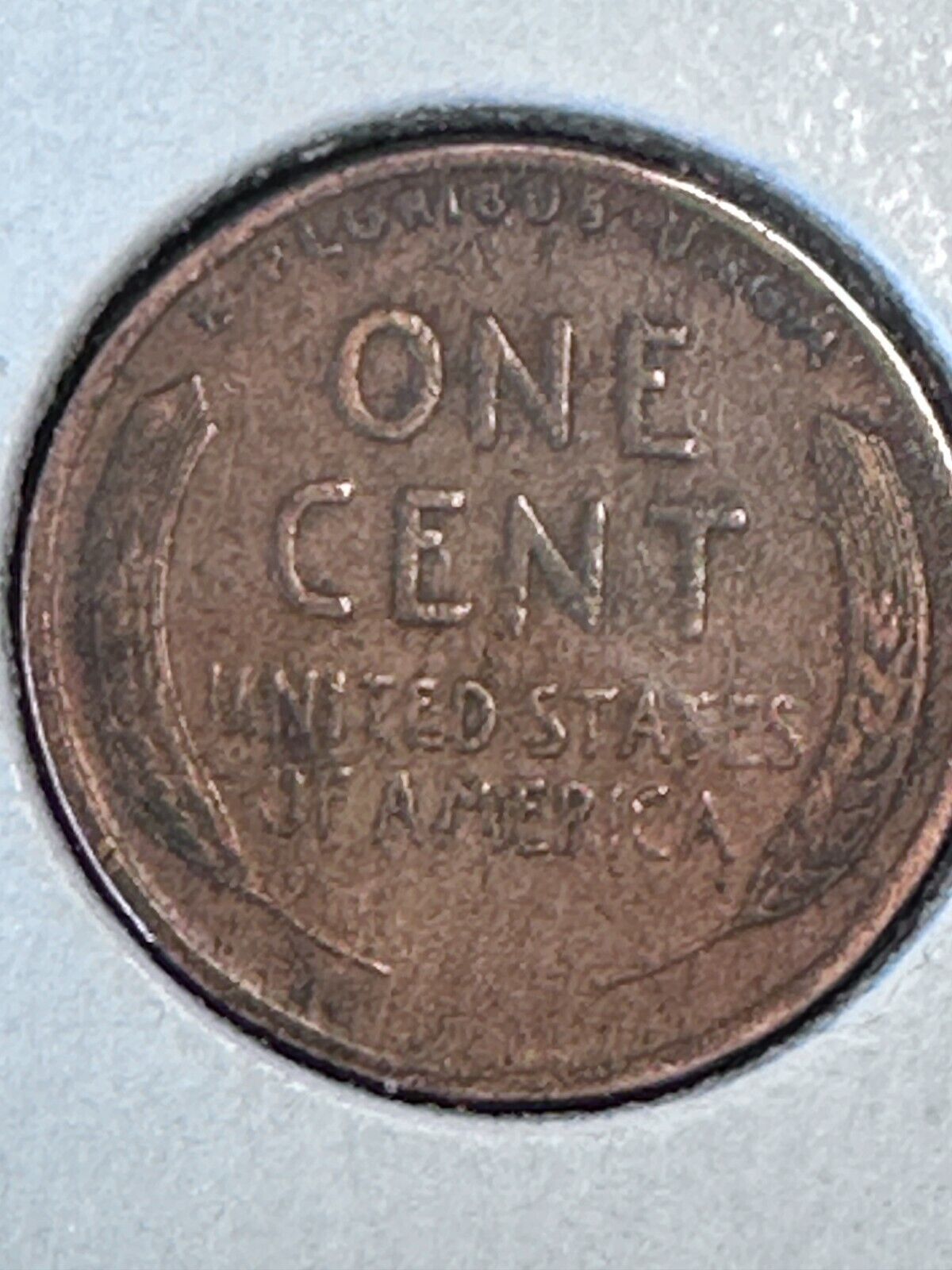 Picture 12 of 18