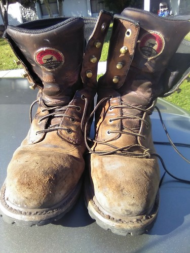 irish setter loggers