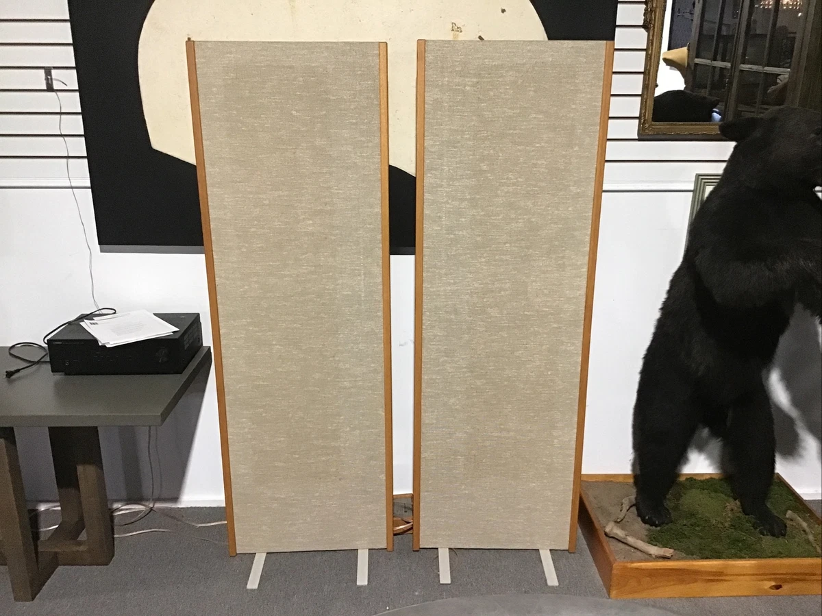 Magneplanar hotsell speakers ebay