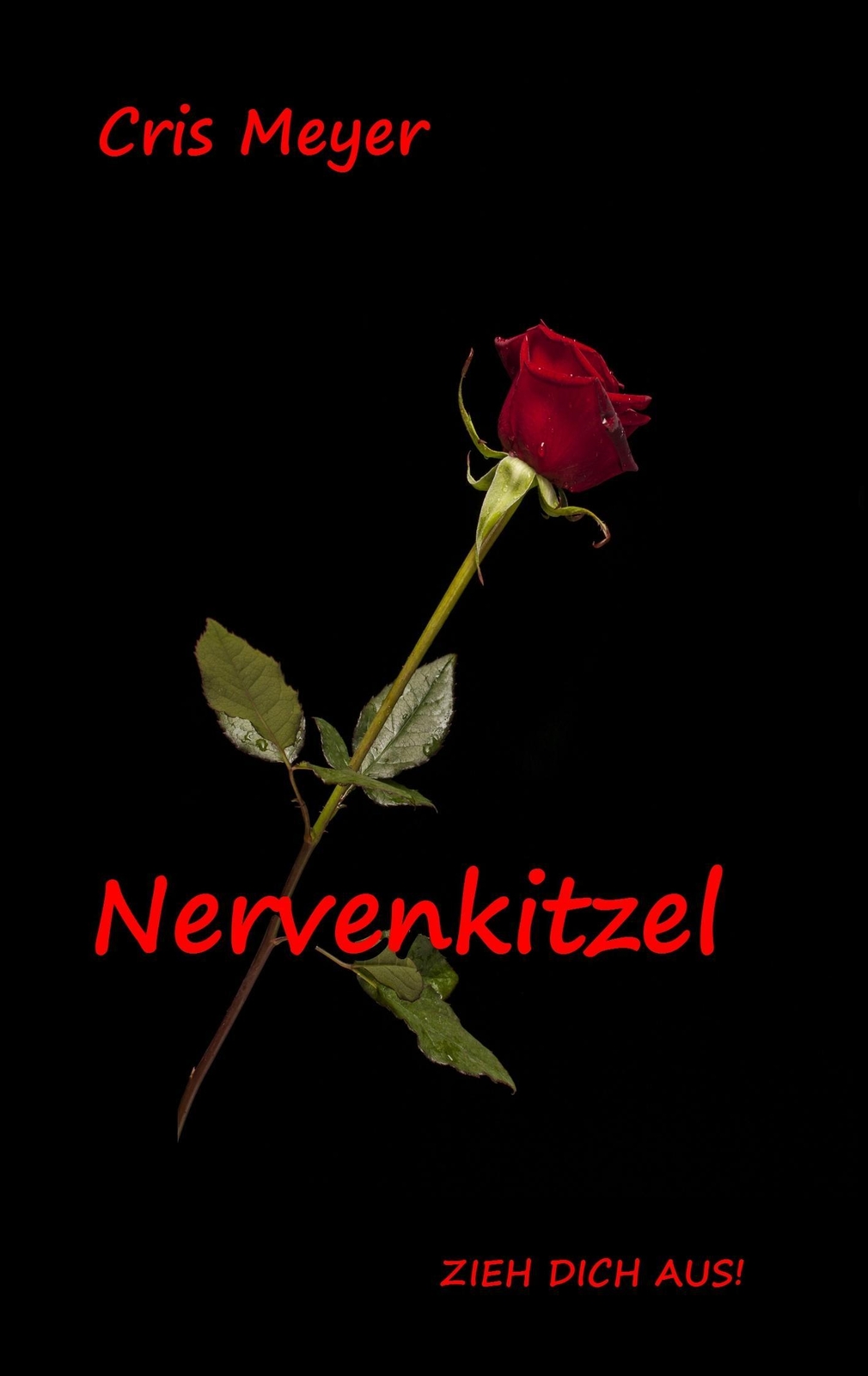 Nervenkitzel | Buch | 9783746015446
