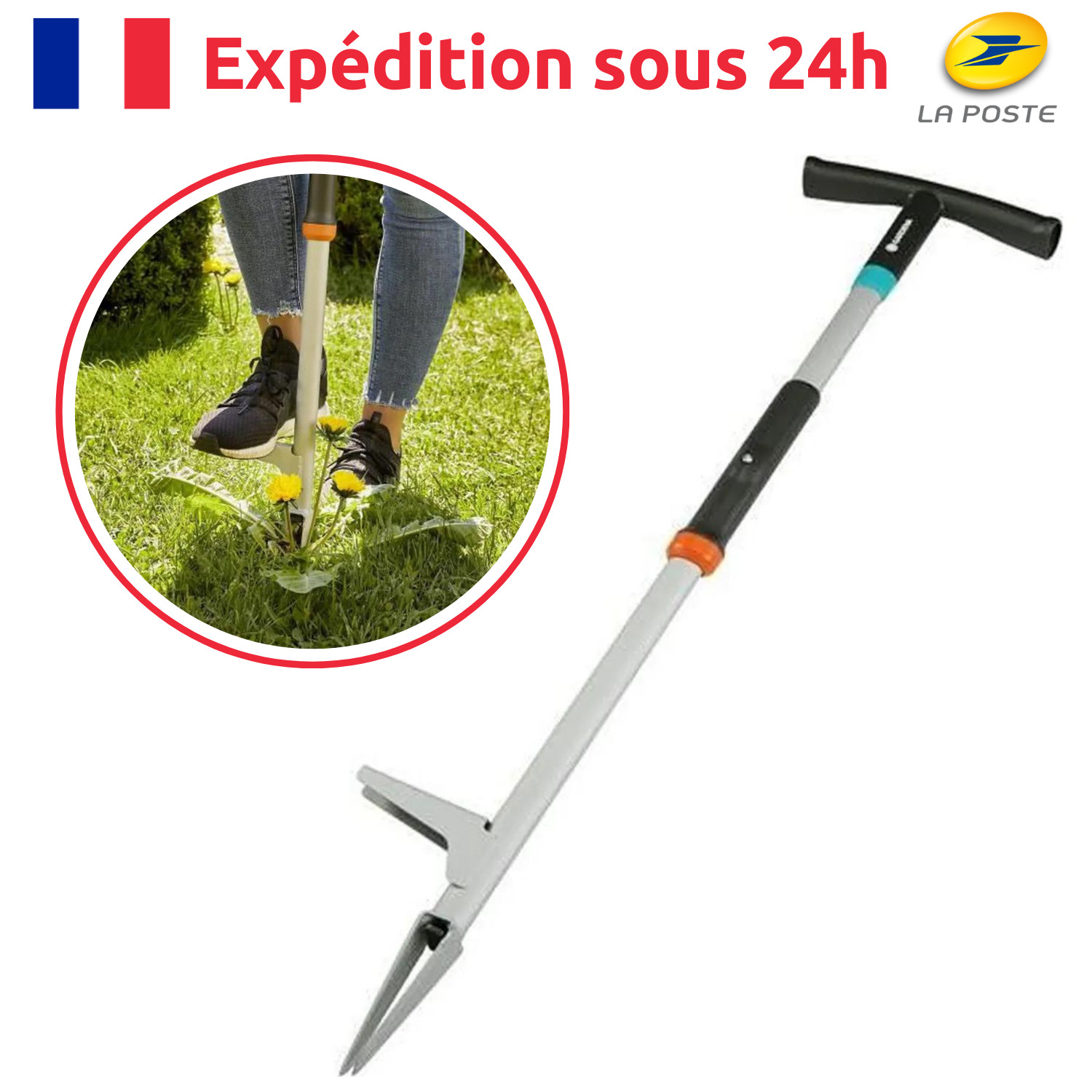 Désherbage écologique de pelouse sans produit chimique avec outil d'extraction racine noir
