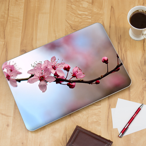 Universal Laptop Skins Wrap für 15" - Kirschblüten - Bild 4 von 7