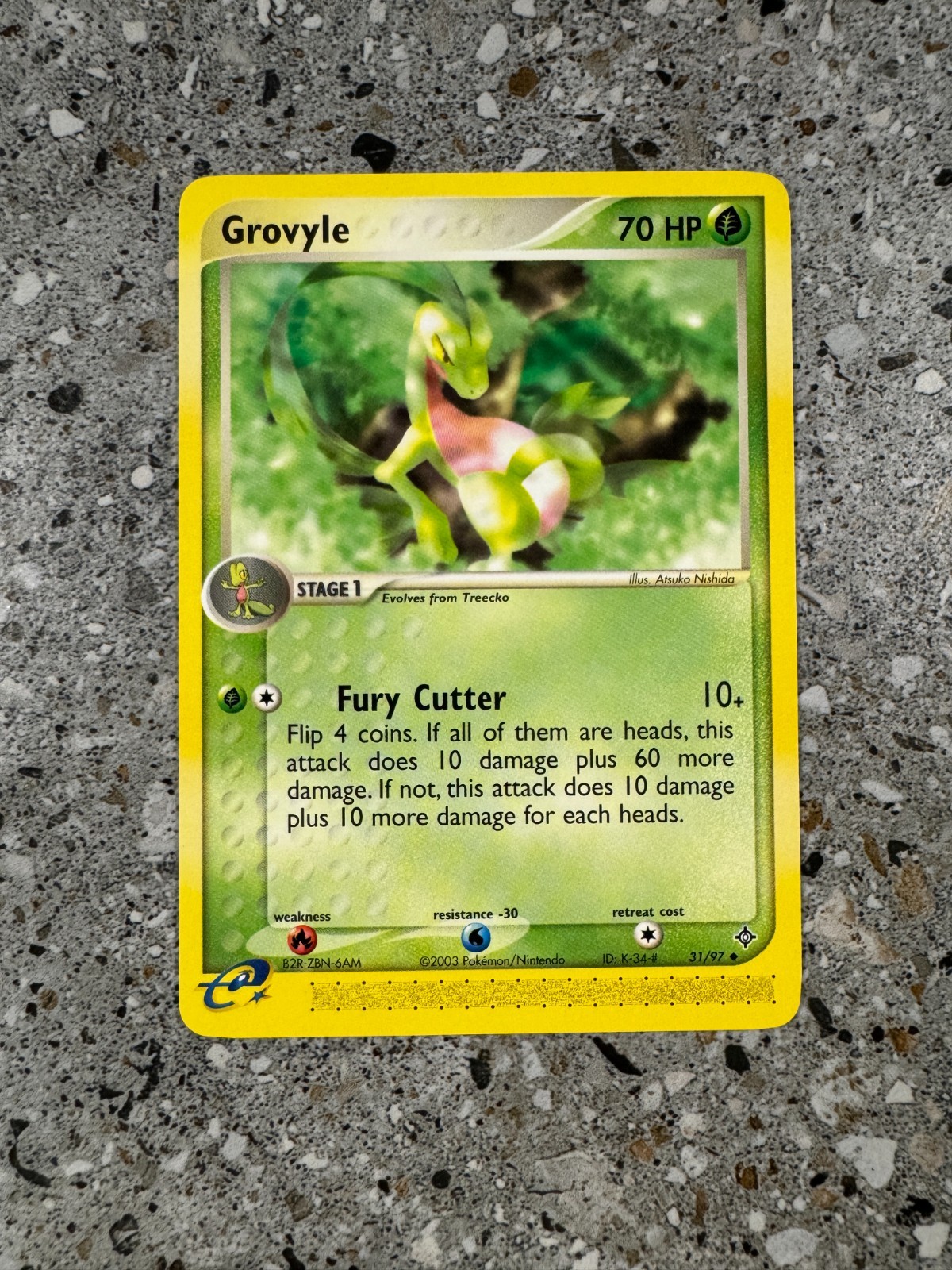 Pokemon TCG Cards Grovyle 31/97 Dragon Uncommon NM-M