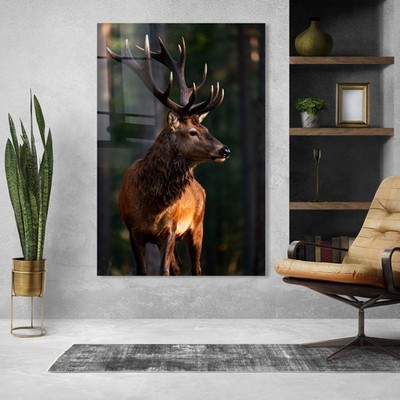 Tiere, Hirsche im Wald bei Sonnenaufgang, Wandbild Acrylglas, Leinwand, Poster