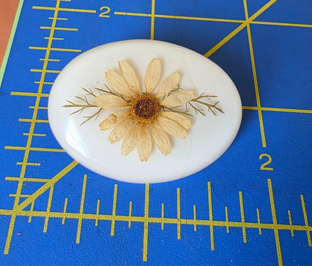 25+ vintage lucite flower pin for sale | Updated Oct 2026