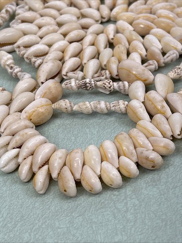 Seashell Trivet Hot Pad 9” Beach Ocean Shell Summer Decor Nautical Tablescape - Picture 5 of 7