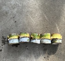 5pcs Rooted Green Yellow Sugarcane Cutting Sweet Juicy Ready To Plant