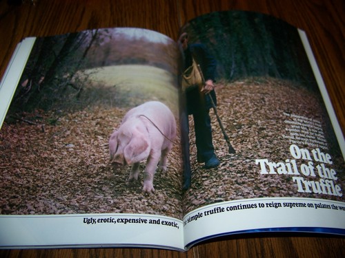 GEO Magazine 1980 South Carolina / Truffles / Oil Sheikhs of the Persian Gulf - Picture 6 of 9