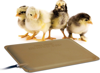 Thermo-Peep Heated Chicken Pad for Brooders and Chicken Coops, Warming Chick Nes