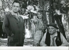 PILGRIM CATTLE ORIGINAL PHOTOGRAPH ds MANON DES SOURCES by PAGNOL -9-   