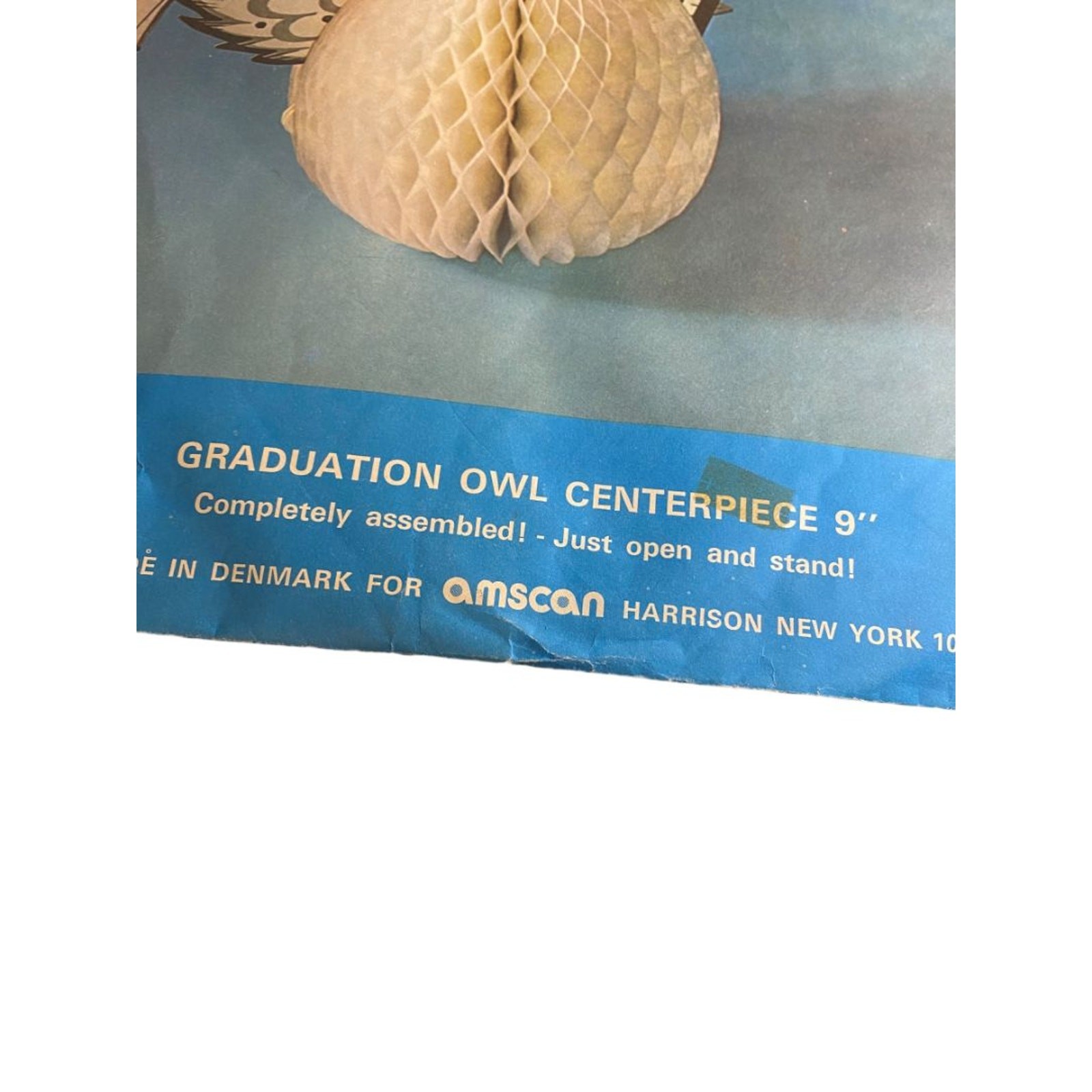 Vintage Amscan Graduation Owl Centerpiece 9" Honeycomb 9110