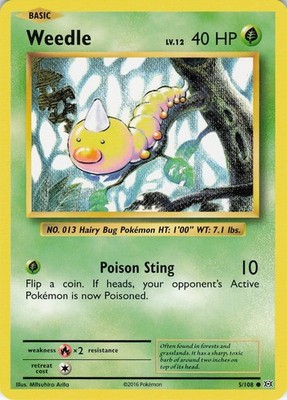 Weedle Common XY - Evolutions 5/108 NM