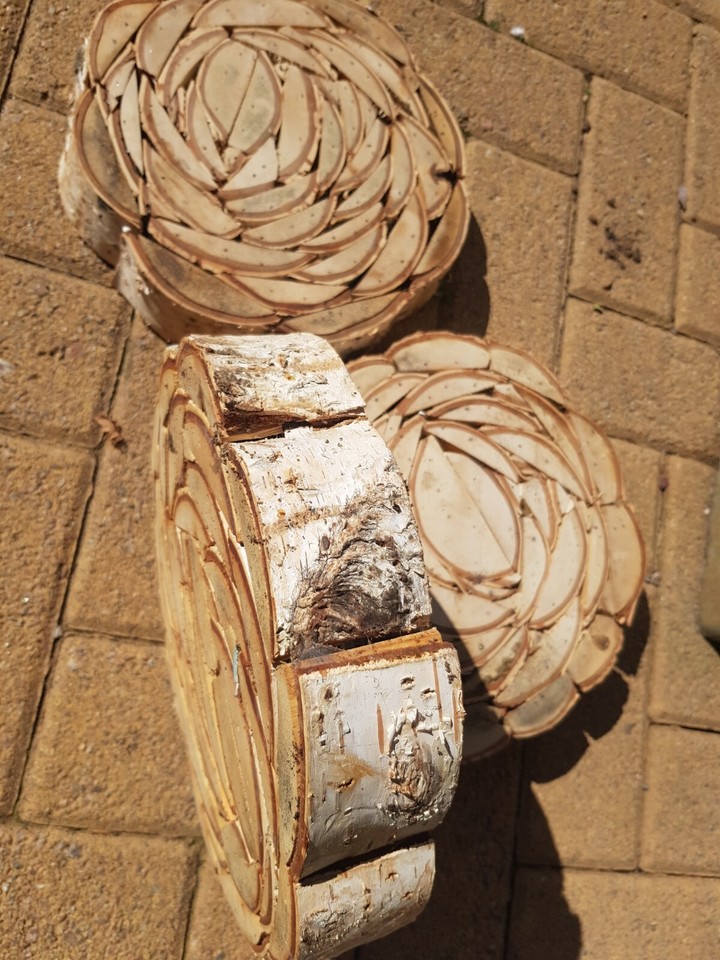 BIRCH WOOD DISCS GARDEN DECORATION WALL ART eBay