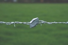 Gripple Mild Steel Barbed Wire