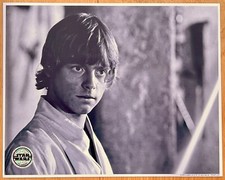 Star Wars Mark Hamill Luke Skywalker A New Hope Official Pix 10 X 8 Photo