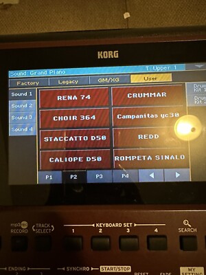 Samples  Para teclado Korg Pa 700/1000/ y 4X  (171 samples en un USB)