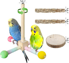 Bird Stand Perch Toy, Parrot 360  Interactive Rotating Parakeet Toys, Wooden ...