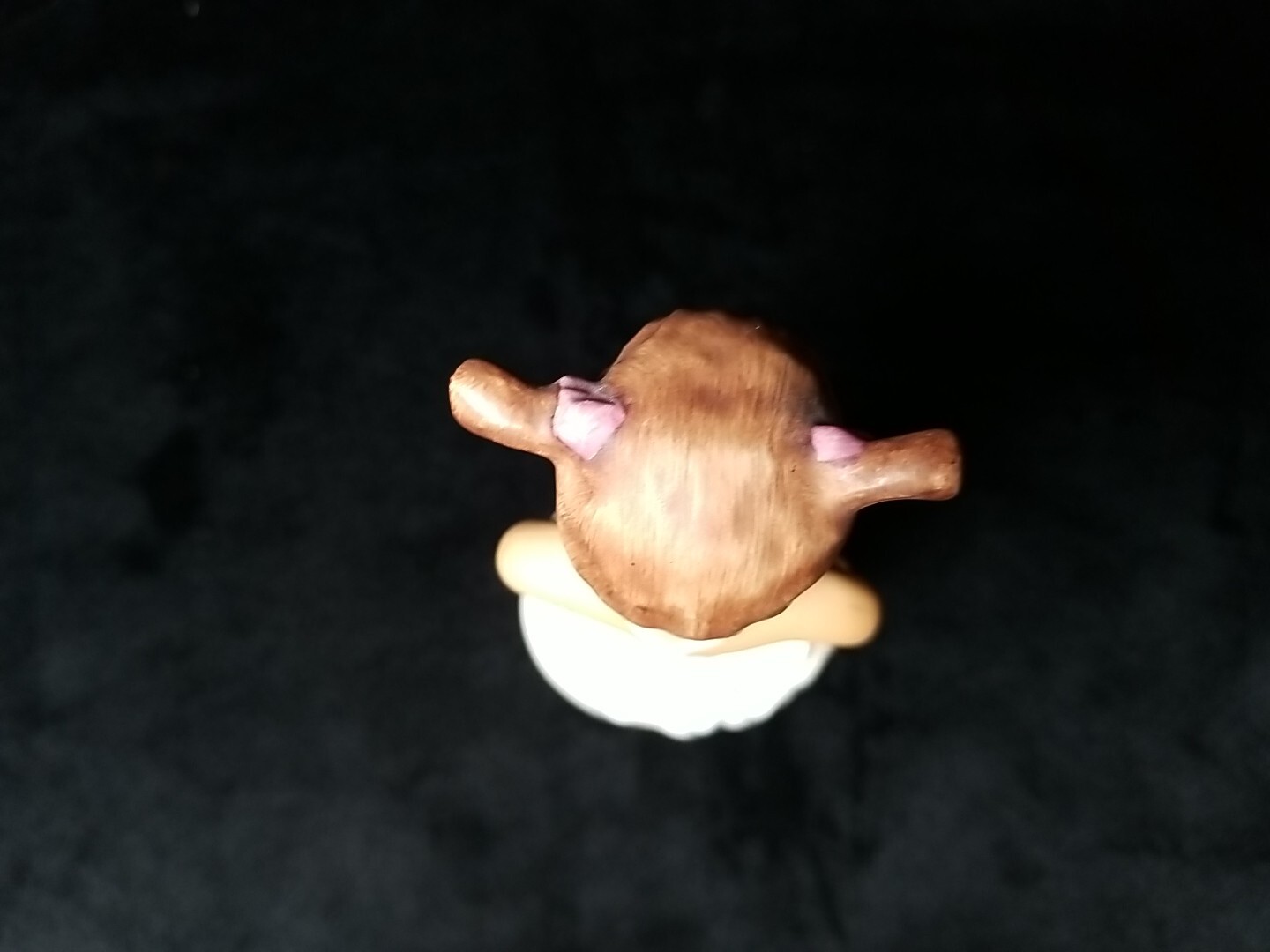 Picture 4 of 5
