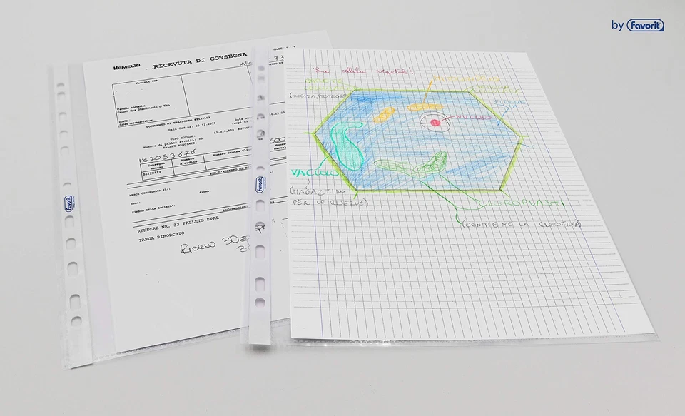 Favorit Buste Trasparenti A4 100 Pezzi Finitura Buccia d Arancia con spessore - Immagine 2 di 4