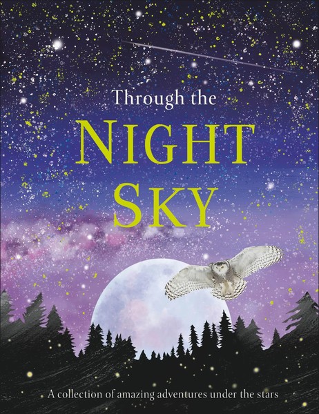 Dk | Through The Night Sky | Buch | Englisch (2020) | Gebunden | Inklore-image