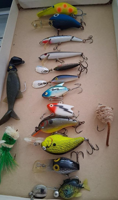 15 Assorted Fishing Lures 3 Rebels Shown 2 Blue Fox 2 Heddon Sonic 1 Luhr Jensen