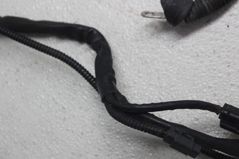 Harley-Davidson Street Glide FLHX 2008-2013 arnés de cableado del motor principal Foto 4 de 4