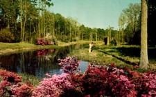 Lagoon At Beauvoir Jefferson Davis Shrine Biloxi Mississippi Postcard