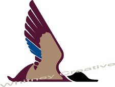 Mallard Rv Logo Graphic Decal Lettering Full Color Version 18.6x16.6 Duck Only