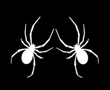 🕷️ Stickers Spyder Blancs pour Can-Am Spyder ou Casque 🤍