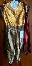 Raya and The Last Dragon Halloween Costume - Girls Size 4-6X New NWT Quick Ship