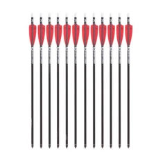 TenPoint Evo-X Centerpunch Arrows w/ White Alpha Nocks - 20" - 12 Pack - HEA-740