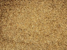Canary Bird Seed 2 lbs - For Canaries Finches  Small Birds