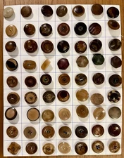 Lot Of 63 Old Brown Antique Vintage Carved Molded Vegetable Ivory Sewing Buttons