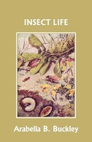 Insect Life (Yesterday's Classics) Arabella B Buckley Taschenbuch Englisch 2008