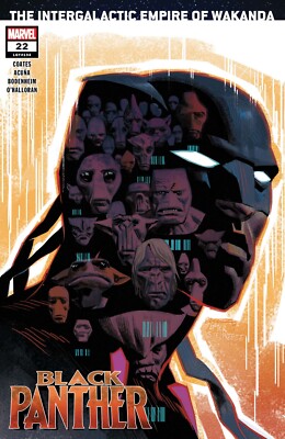 Black Panther (2018) 22 Marvel Comics VF/NM