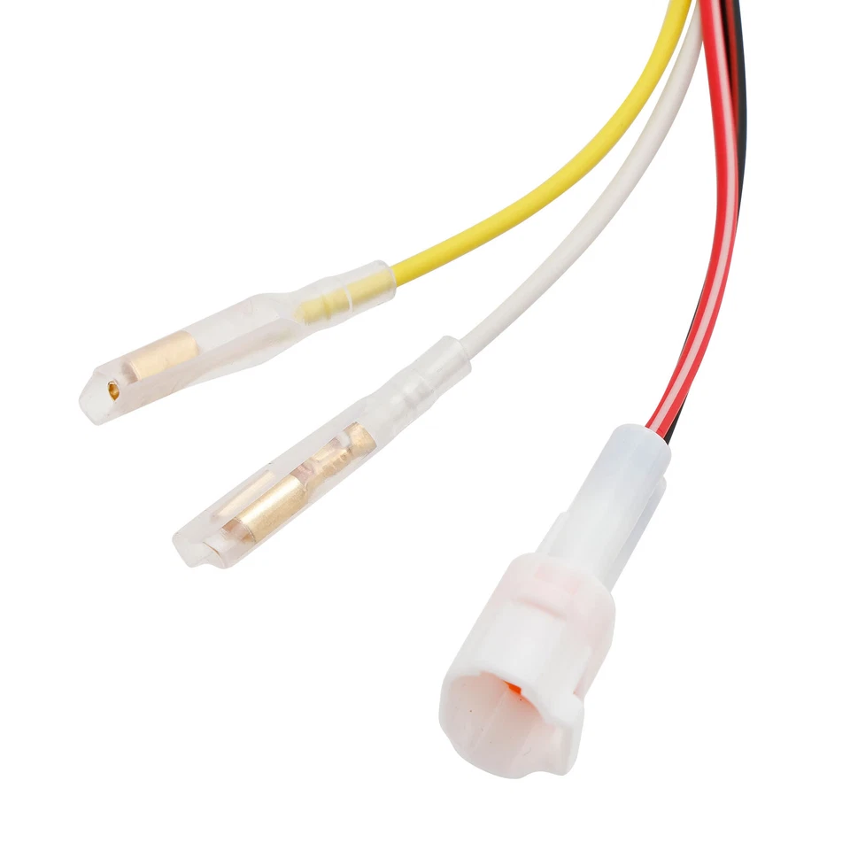 Estator magnético para BETA RR 2T / 4T / Xtrainer 026100050000 026.10.005.00 EE. UU. Foto 3 de 4