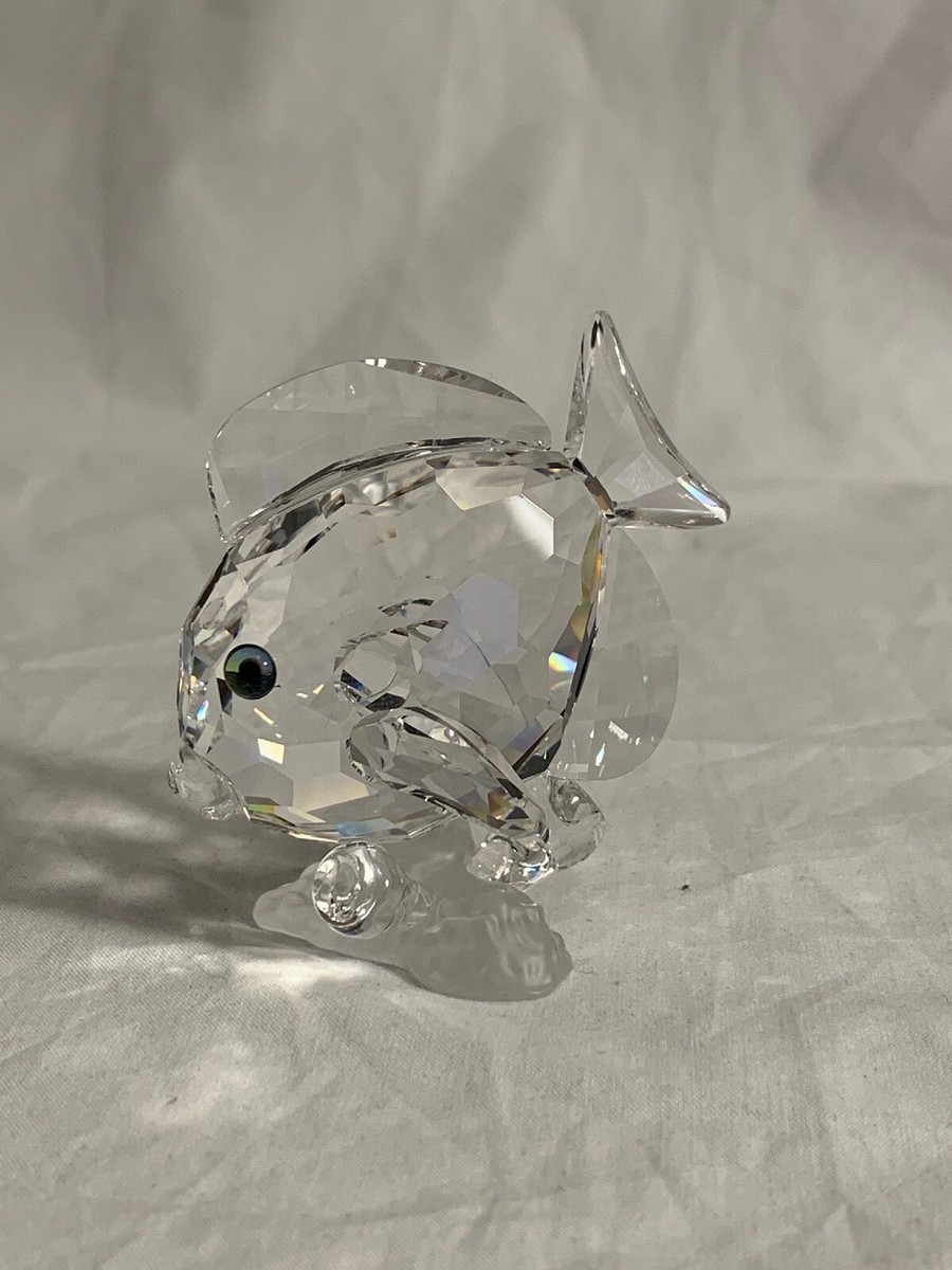 SWAROVSKI Blue Tang Fish, Clear 883822 Best Offers Considered | eBay